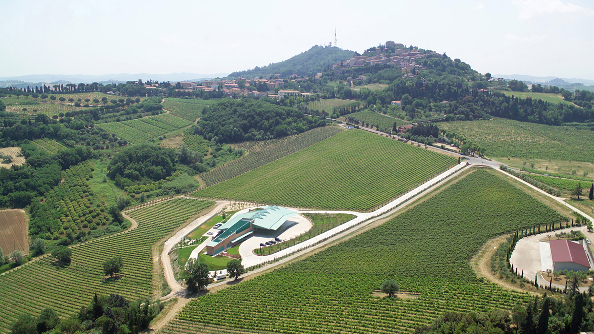 Campo del Sole Cantina di Bertinoro: Foto 18